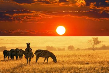 Beautiful-Africa